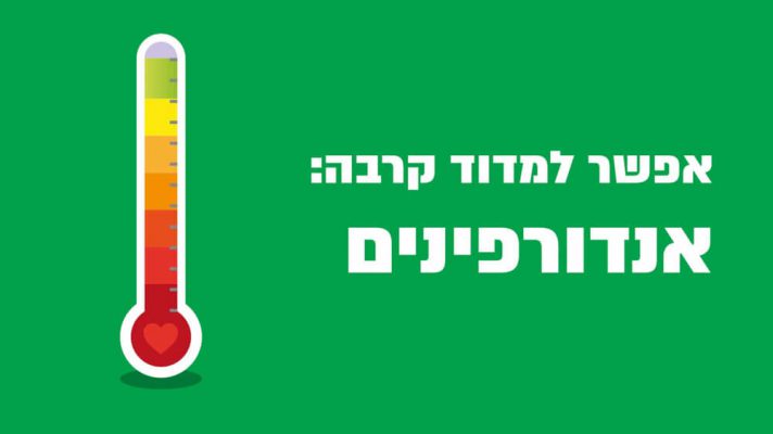 חברות-24